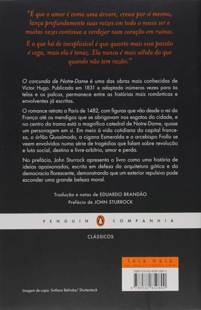Contra Capa do Livro o Corcunda de Notre-Dame